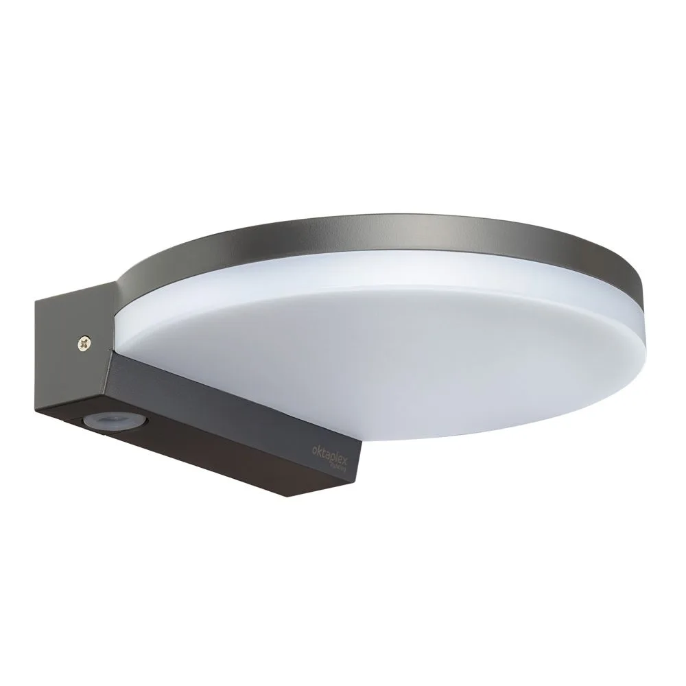 Détecteur De Mouvement Extérieur Oktaplex Lea – Infrarouge 180°, IP54, Portée 12 M