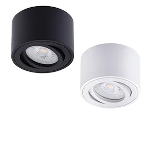 Deckenleuchten in Schwarz und Weiß, ideal für moderne Innenräume, energieeffizient und stilvoll.