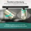 Roma 2-flammig schwarz/gold – Spots 350° drehbar, 90° schwenkbar